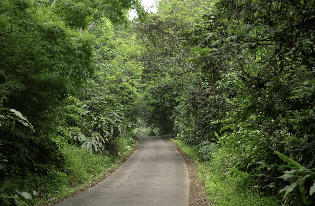 kho vang CucPhuong1.png