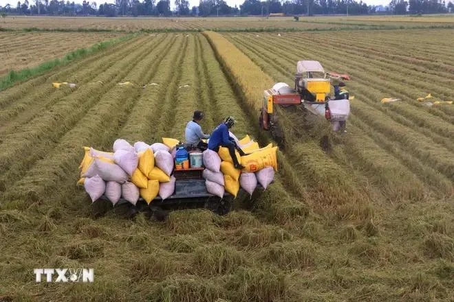 Agricultural sector’s trade surplus approximates 16.5 billion USD