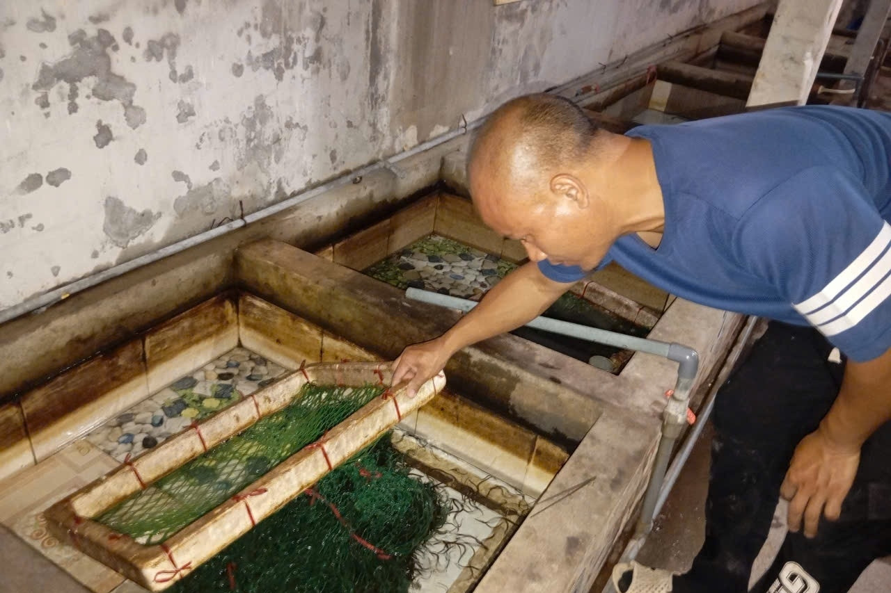 ‘Lao  Nong Vlog’ channel earns billions of dong from selling eel breeders