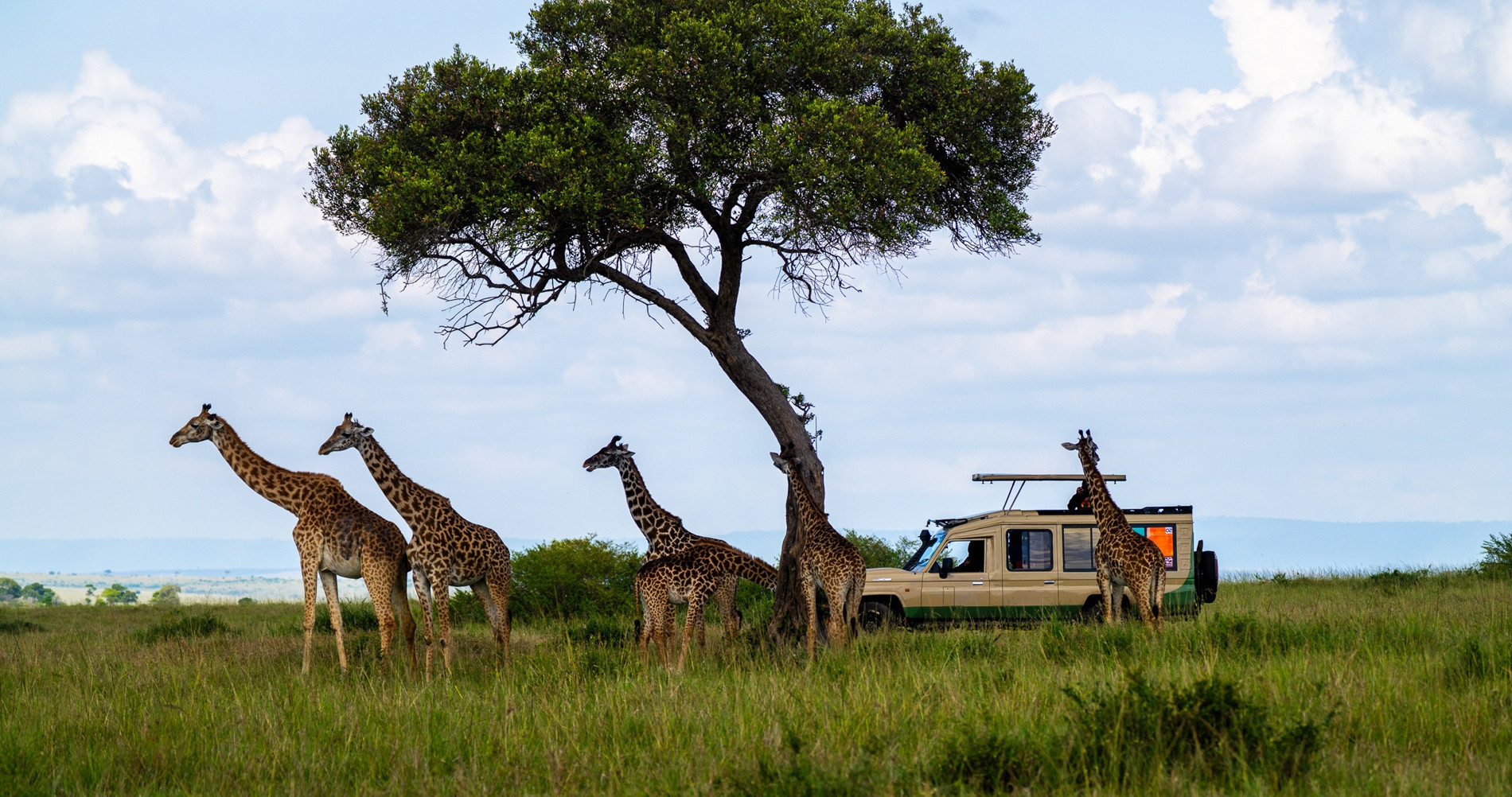 Harmony in the wild: A Vietnamese lens on Kenya’s natural wonders