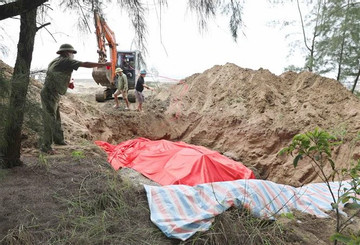 10-tonne whale carcass buried in Nghe An