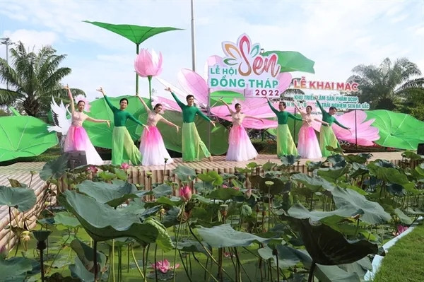 Dong Thap to host lotus festival