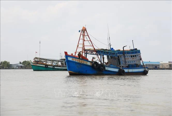 Government tightens vessel control to fight IUU fishing