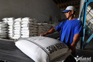 Prices stay high, but Vietnam’s rice selling well 