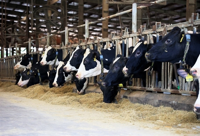 VN livestock association wants to delay greenhouse gas inventory