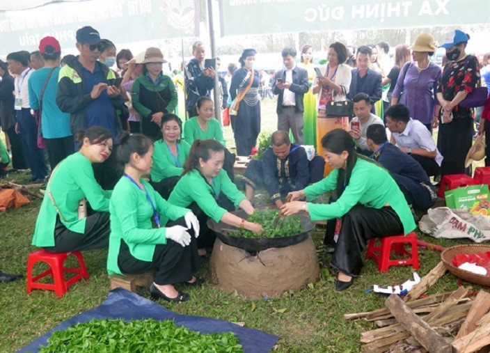 thai nguyen tea1.jpg