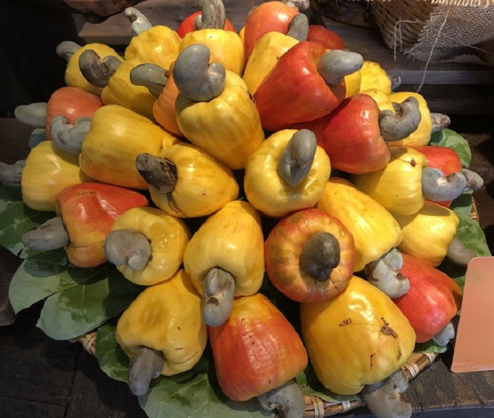 cashew fruit.jpg
