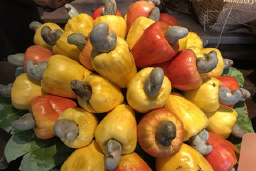Fascinating delicacies from Binh Phuoc’s cashew apples