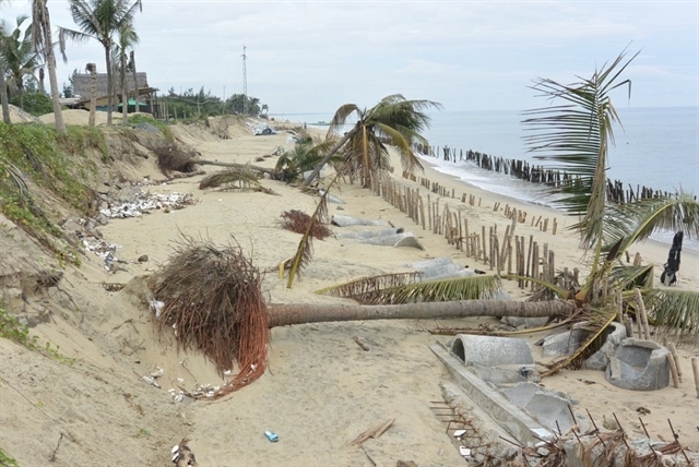 Solutions for restoring and protecting Cua Dai Beach, Hoi An coastline