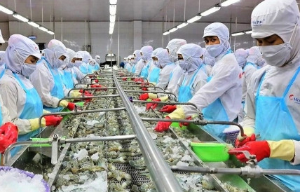 Vietnamese seafood likely to get bigger market share in US