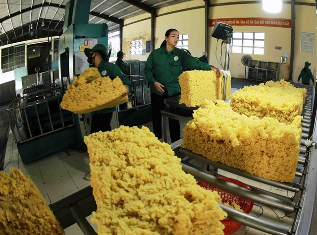 Vietnam's rubber exports expected to reach $3.3 billion in 2024 - Vimarsana News