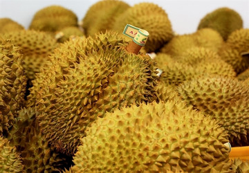 Businesses call for stricter management of durian industry