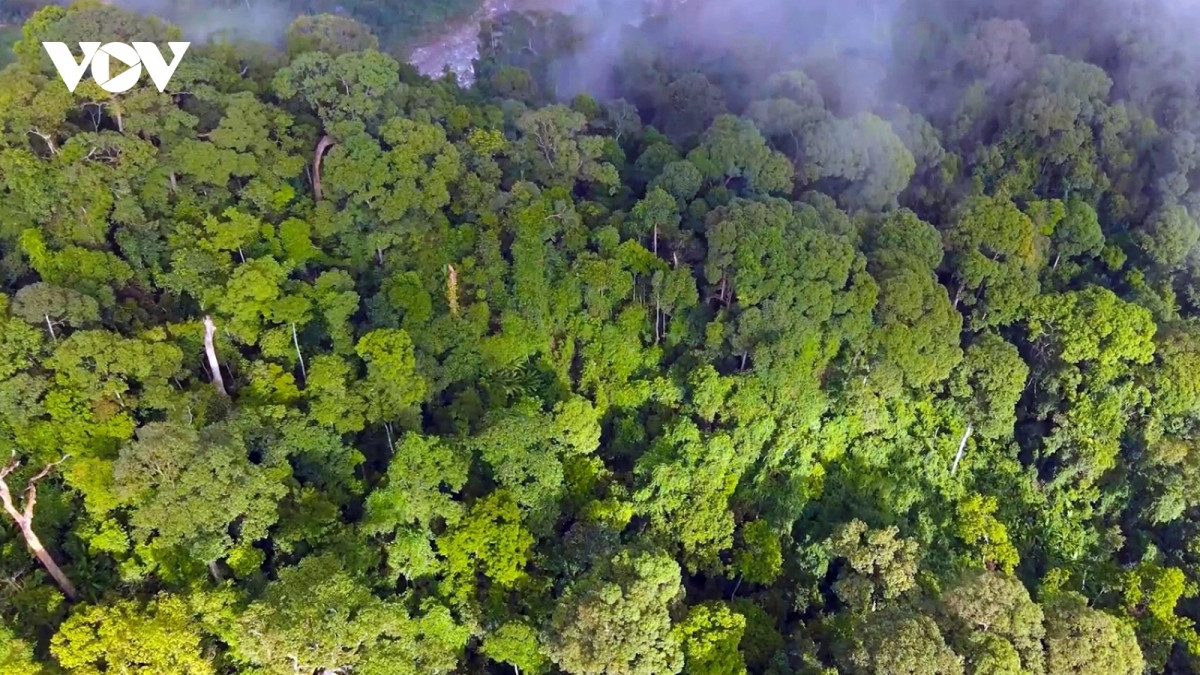 uk pledges additional funds for cfa programme in vietnam picture 1