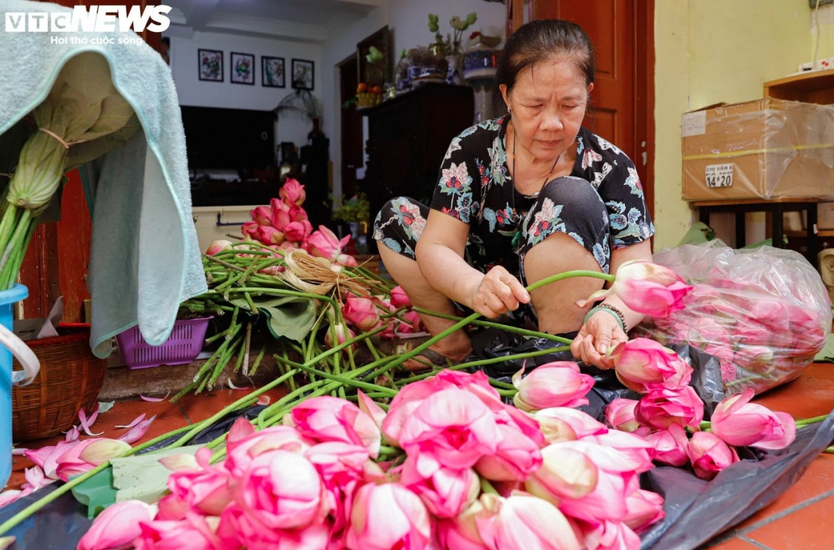 Discovering lotus tea making art of Hanoians
