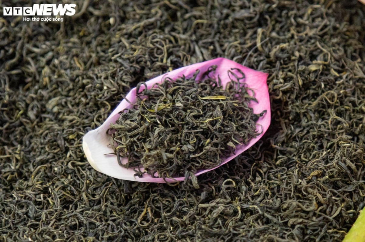 discovering lotus tea making art of hanoians picture 8