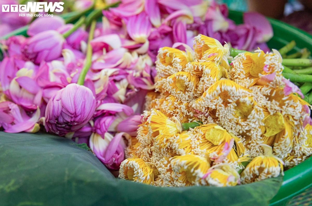 discovering lotus tea making art of hanoians picture 7