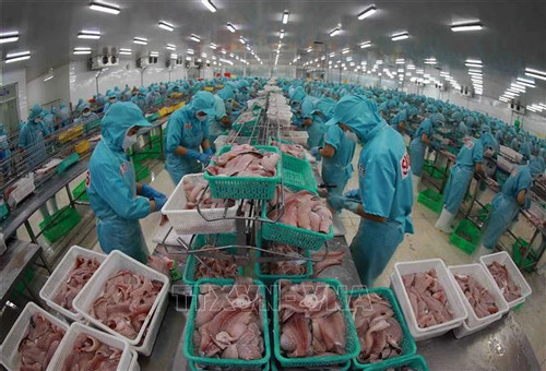 Vietnam’s tra fish export tipped to bounce back