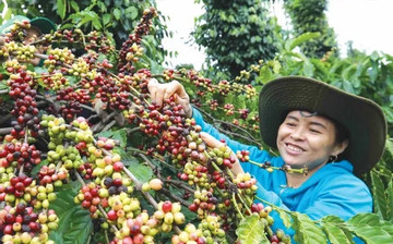 Creating a country’s coffee culture