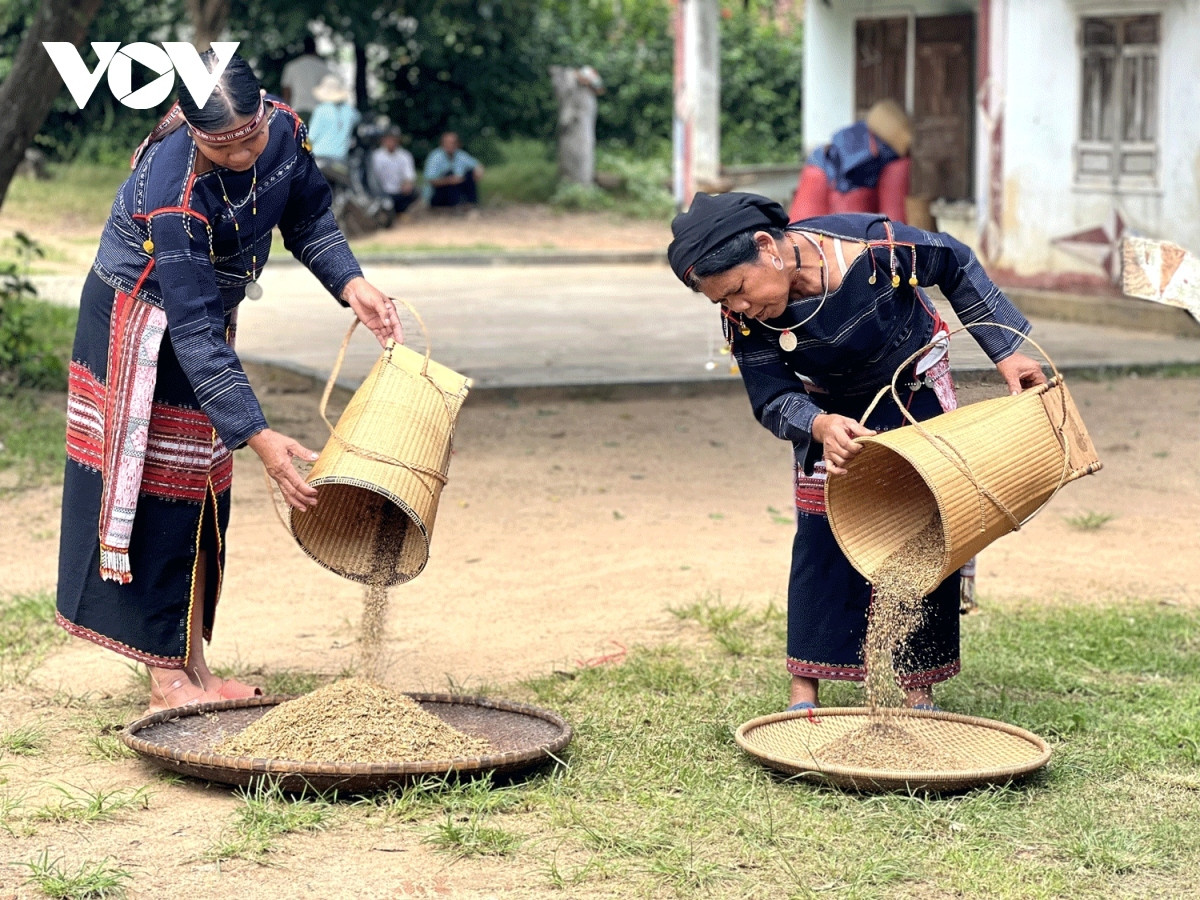 special wine of bahnar ethnic people in gia lai picture 1