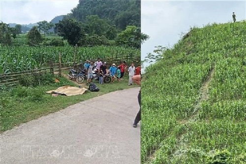 German man killed, wife injured after motorbike falls into abyss in northern VN