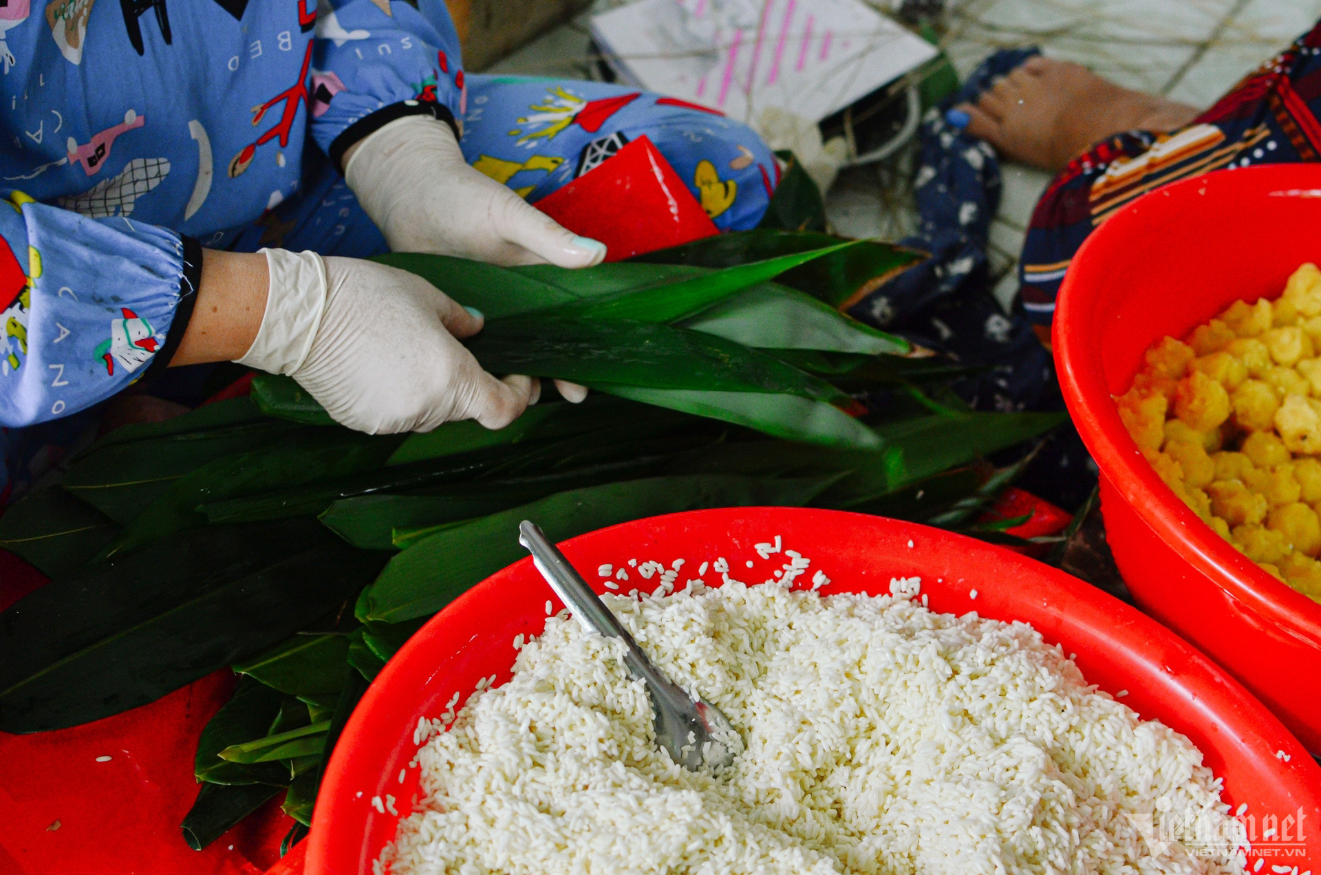 tet doan ngo 7 394.jpeg