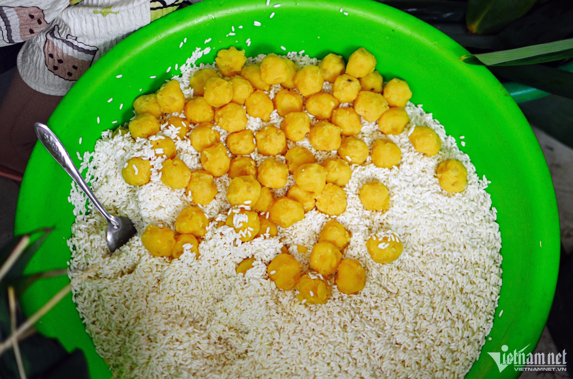 tet doan ngo 5 386.jpeg