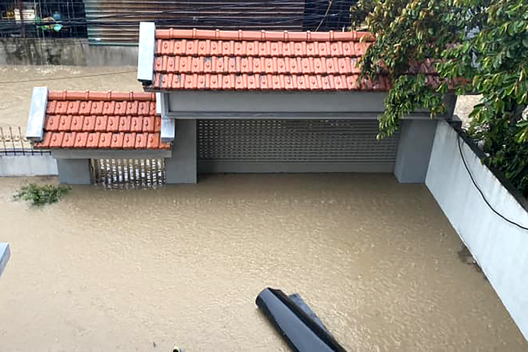 mua lon ha long.jpeg