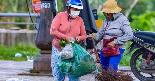 Quang Nam farmers profit significantly from selling leaves for Doan Ngo Festival