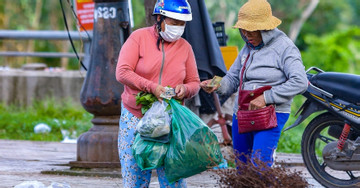 Quang Nam farmers profit significantly from selling leaves for Doan Ngo Festival