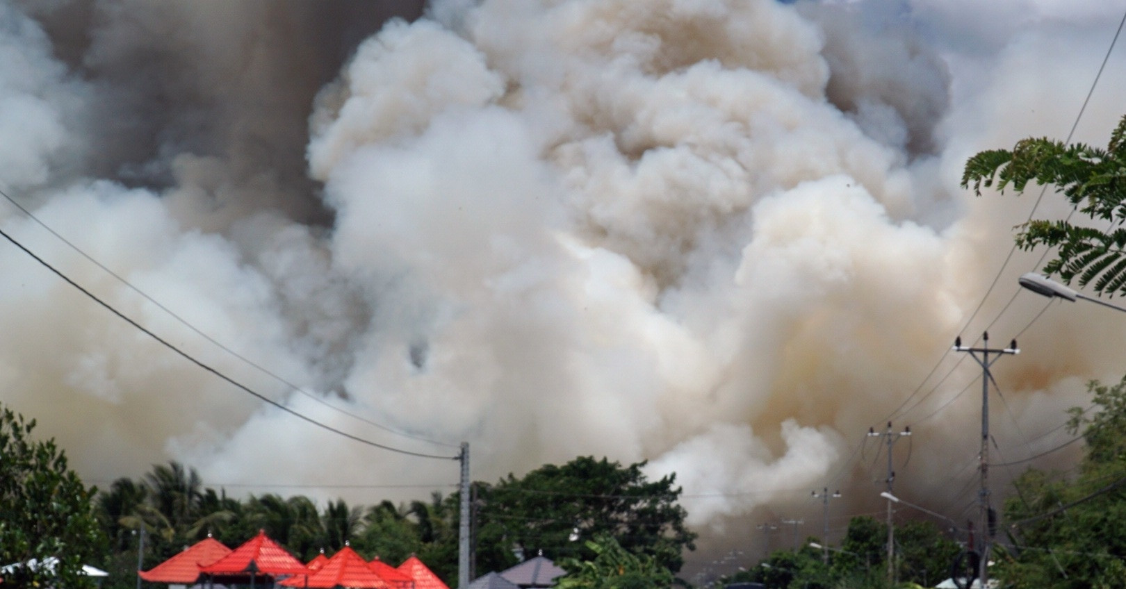 Blaze engulfs Tram Chim National Park in Dong Thap Province