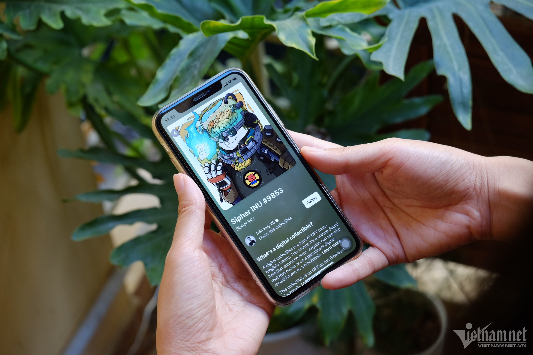 taisanao TrongDat.jpg