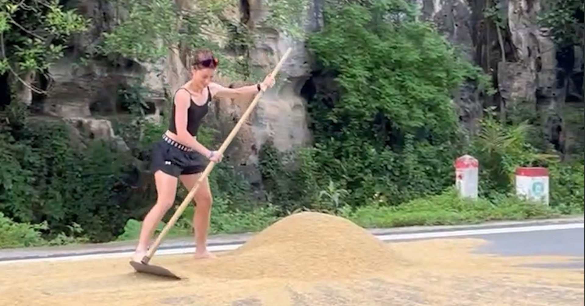 Foreign tourists assist Ninh Binh farmers with rice raking before rain