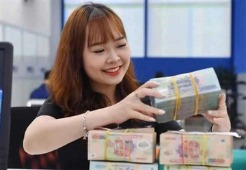 Vietnam Business News June 13/2024