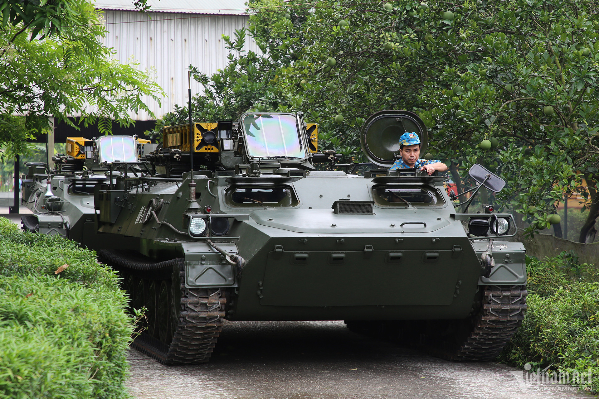 W-to hop ten lua 10 copy.jpg