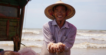 Thanh Hoa fishermen reap riches with abundant skeleton prawn harvests