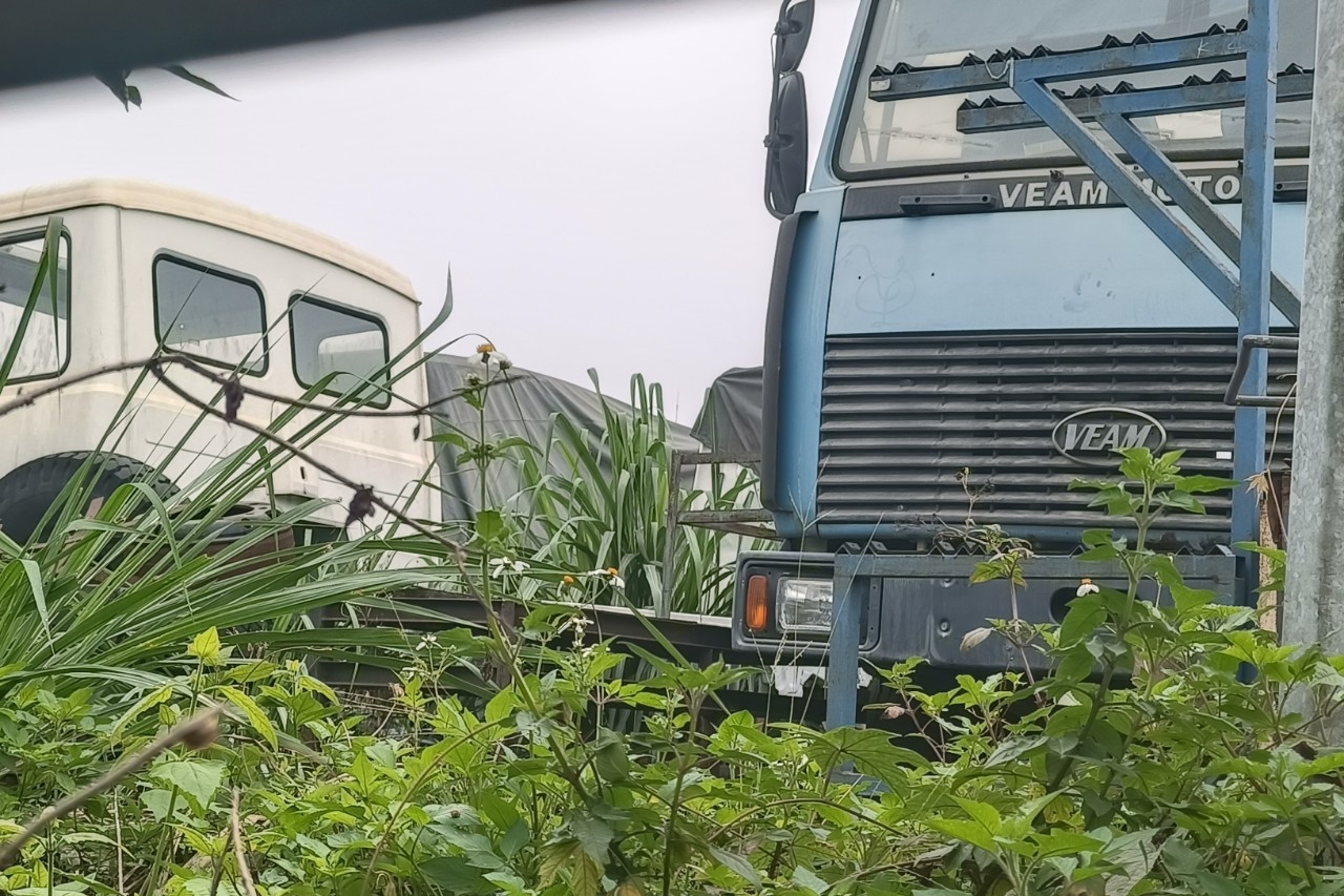 Thousands of trucks exposed to sun and rain remain unsold in Thanh Hoa