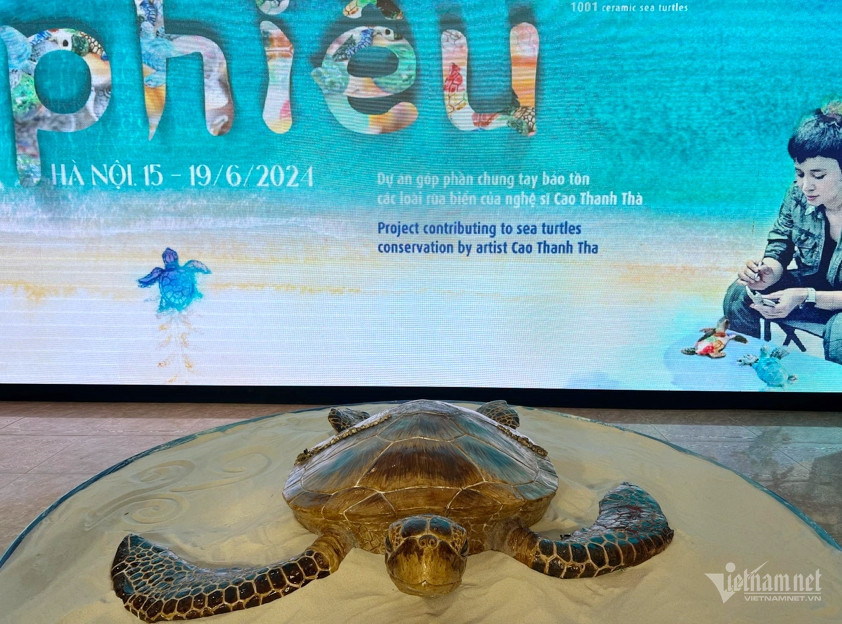 turtle exhibition.jpg