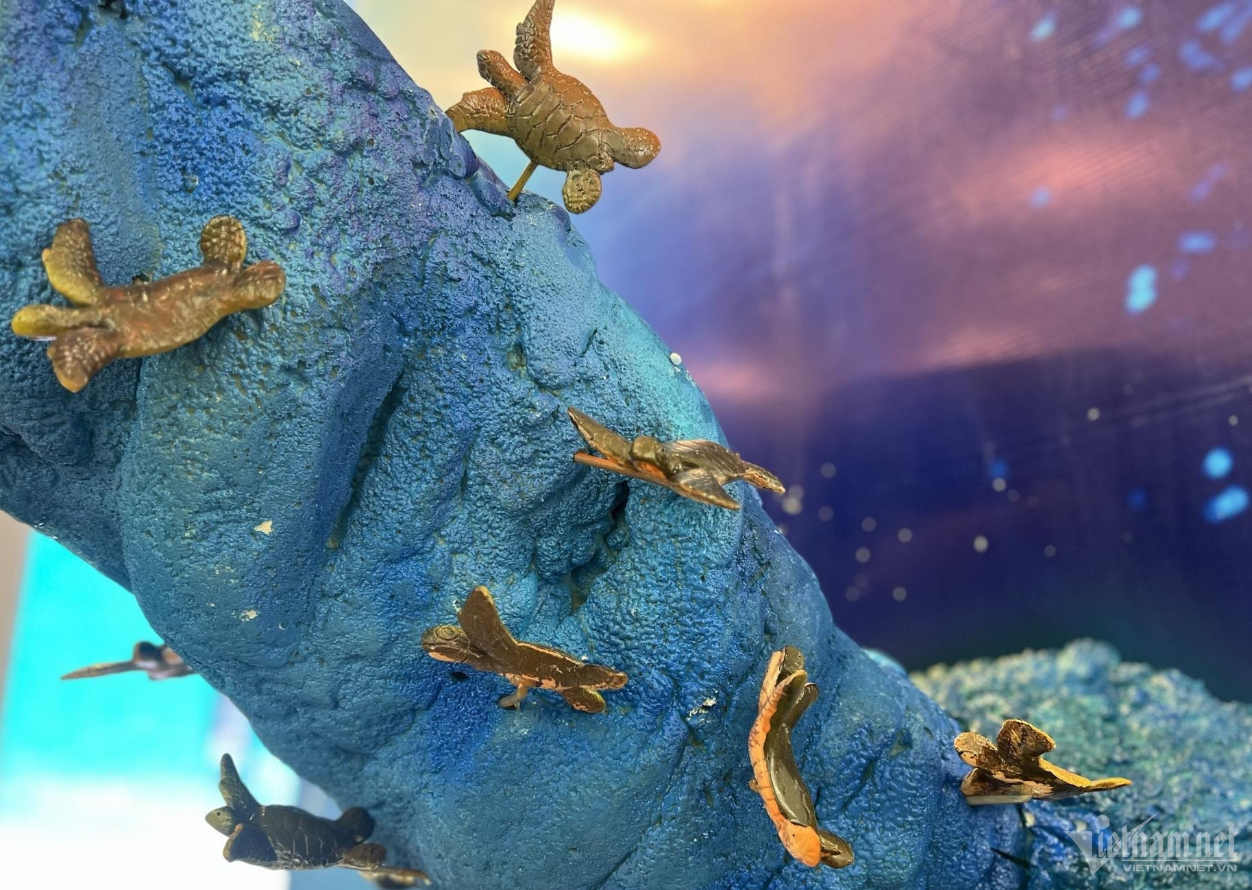 turtle exhibition1.jpg