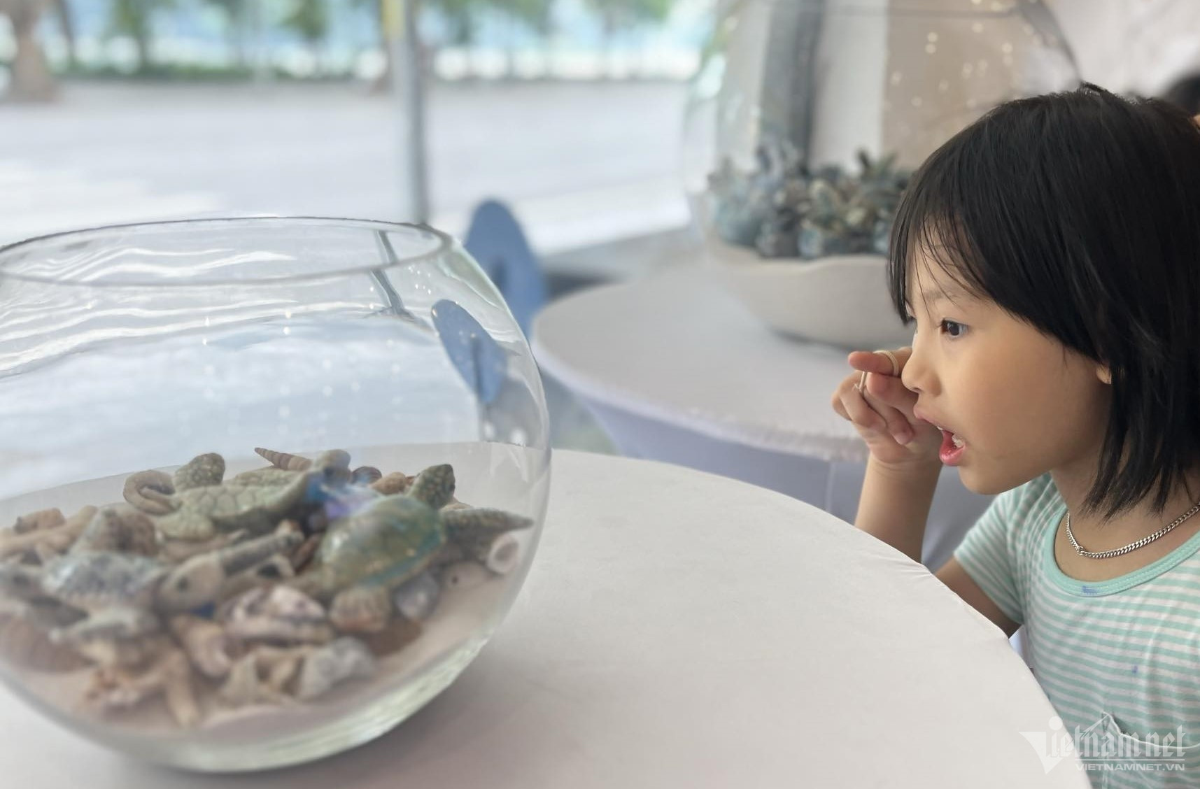 turtle exhibition13.jpg