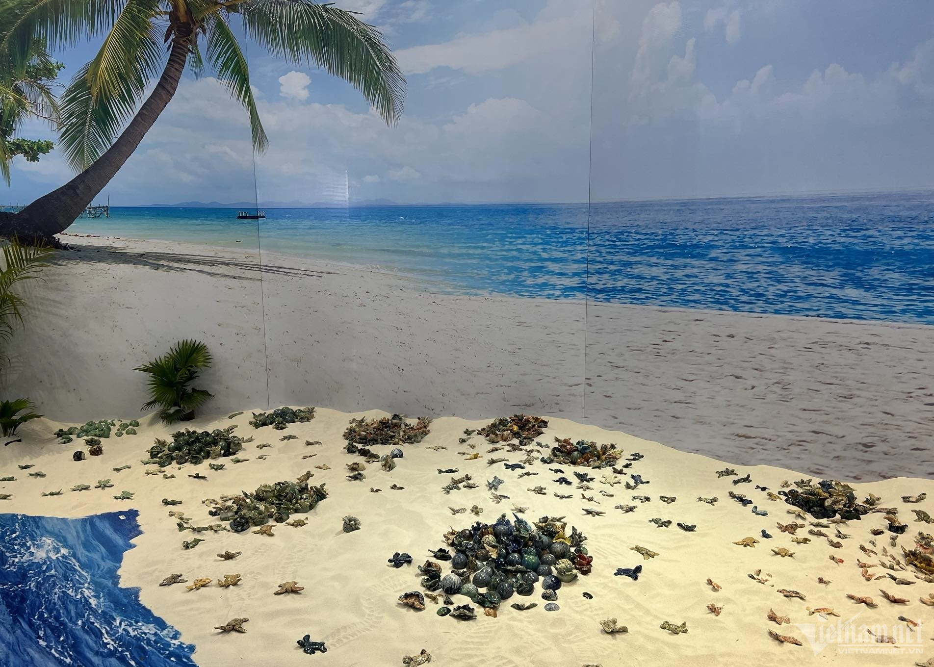 turtle exhibition2.jpg