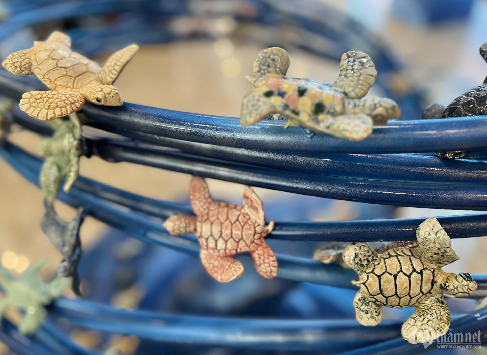 turtle exhibition8.jpg