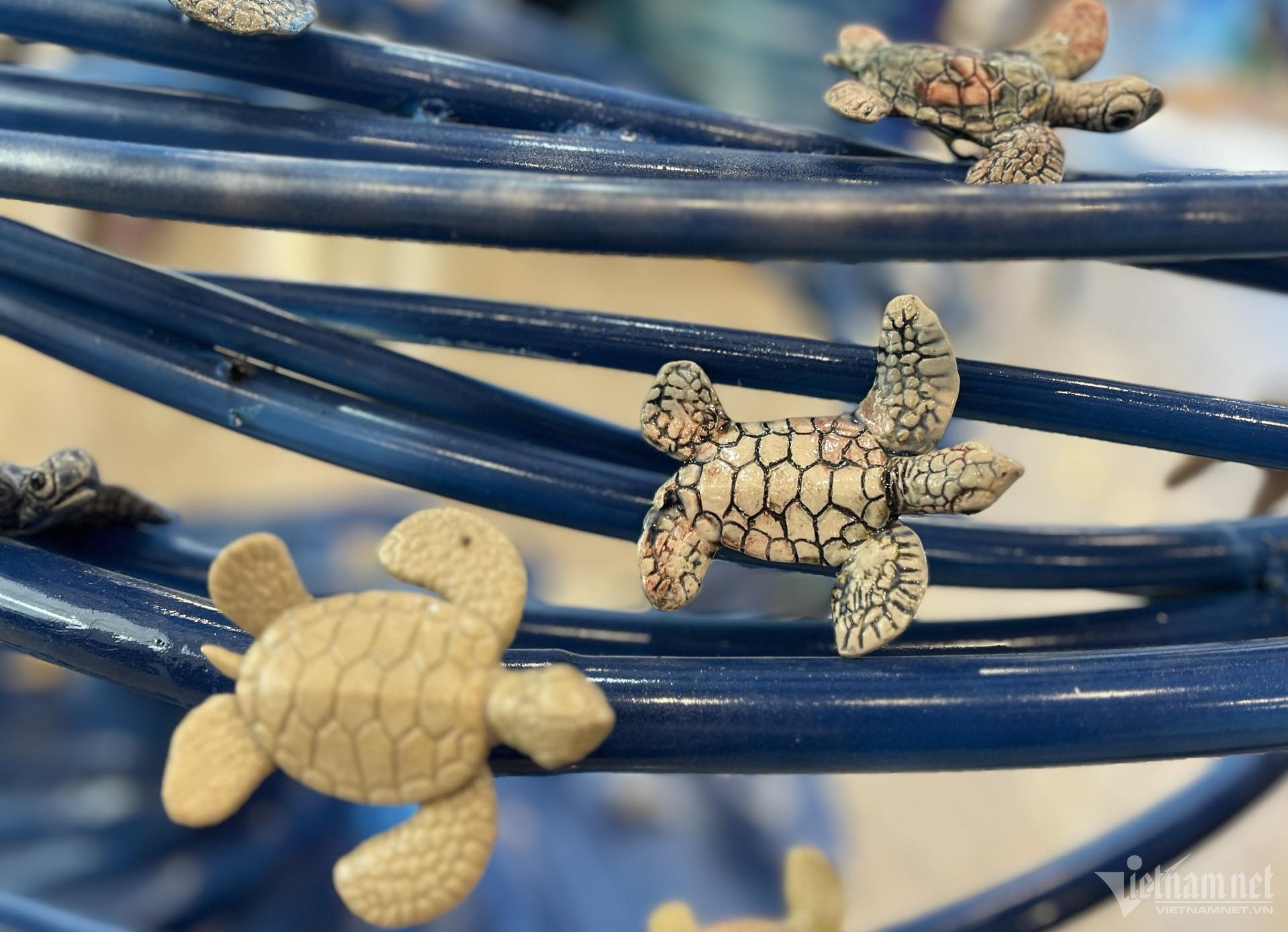 turtle exhibition9.jpg