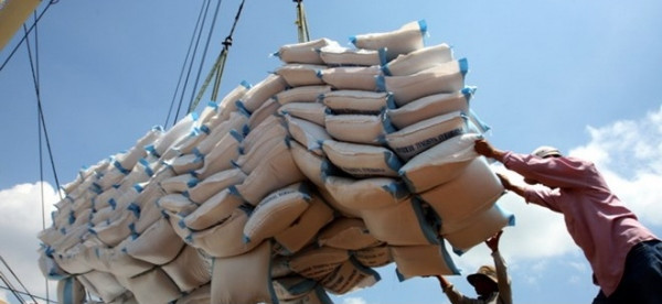 Vietnam eyes golden opportunities for rice exports