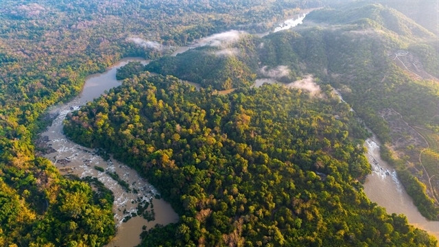 Cat Tien becomes the first national park in VN on the IUCN Green List