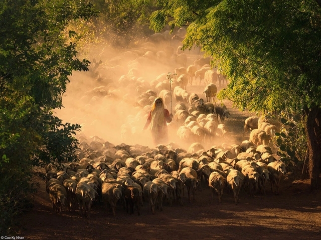 Vietnamese photographers clean up at the Pink Lady Food Photography Awards