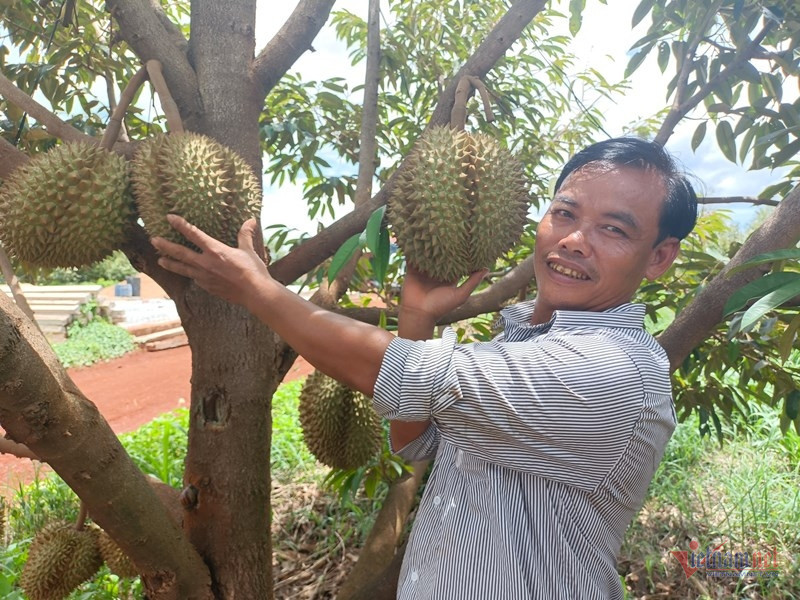 durian.jpg