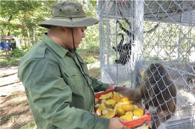 Hospital for wildlife animals operates in the forest