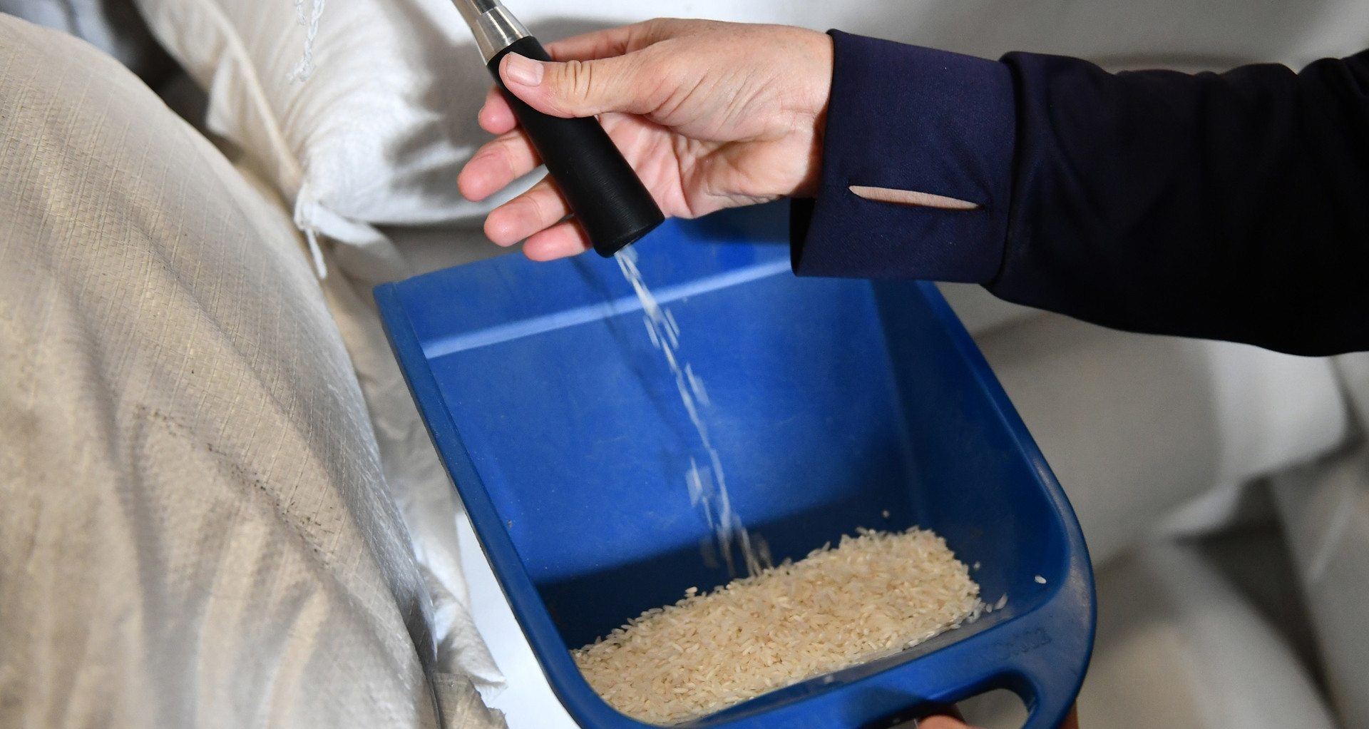 Despite being a major exporter, Vietnam imports US$700 million worth of rice