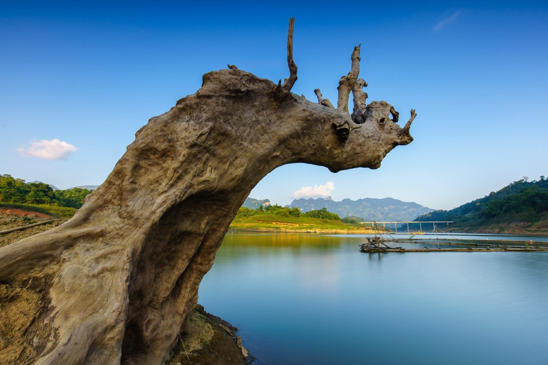 ﻿Refreshing greenery of Tuyen Quang