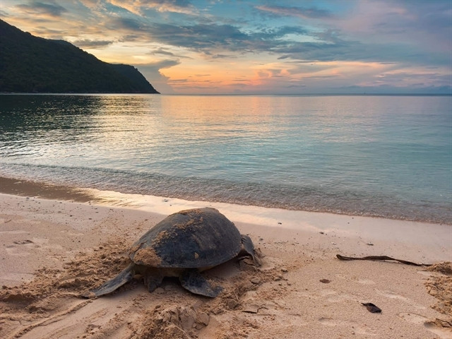 An unforgettable experience in Con Dao Archipelago